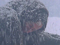 ATMOSPHERIC/ &nbsp;SNOW. View Special Effect Details >>