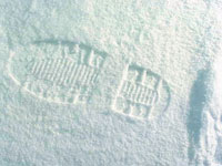 Polymer Snow