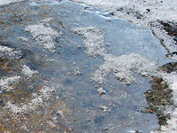 Ice Wax Clear
