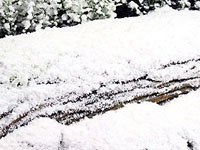 SnowCel