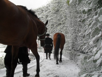 Frost
