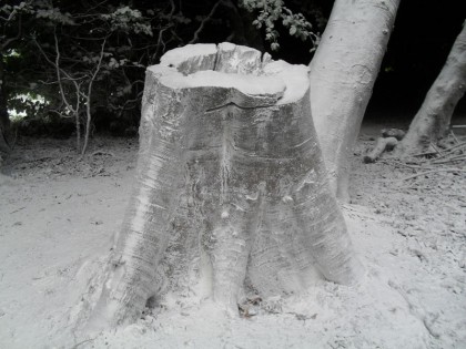 Frost