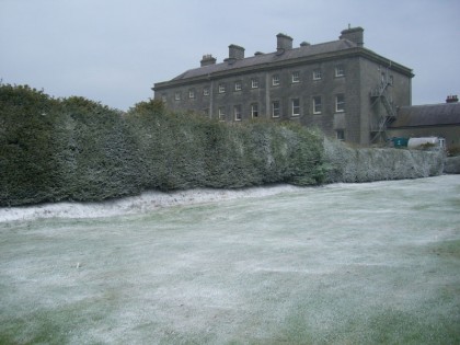 Frost